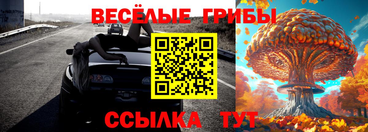 Рассказово  Псилоцибиновые грибы Psilocybe  Вход с VPN  Галлюциногенные грибы мухоморы 